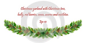 Christmas holiday design. Realistic fir-tree branches, pine, cones, red berries, holly, acorns and mistletoe. Eps 10