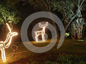 Christmas holiday illumination animal figures
