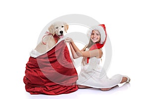 Christmas holiday pet dog gift