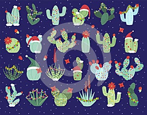 Christmas or Holiday Themed Cactus