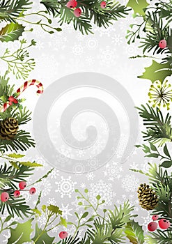 Christmas holidays background with branches, poinsettia flower, holly berry, snowflakes and space for text. Postcard