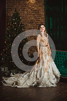 Christmas Holidays, woman in evening gorgeous dress