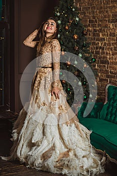 Christmas Holidays, woman in evening gorgeous dress