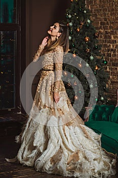 Christmas Holidays, woman in evening gorgeous dress