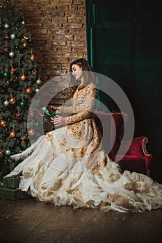 Christmas Holidays, woman in evening gorgeous dress