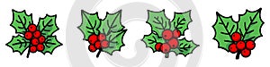 Christmas holly berry leaves icon. Cartoon Christmas icons set
