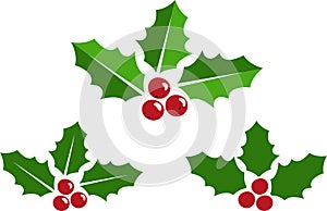 Christmas Holly Berry Vector Illustration