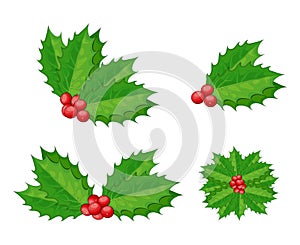 Christmas holly berry vector set for xmas composition. Decorative twigs, bunches of holly with red berries.  Branch of holly with