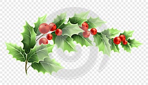 Christmas holly branch realistic illustration