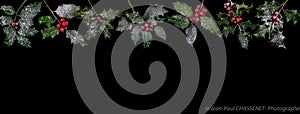 Christmas holly composition on black background with copy space for your text. - Christmas Border