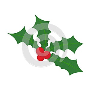 Christmas holly leaf