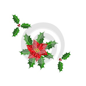 Christmas holly leaves and a flower