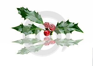 Christmas holly and red berries with reflection