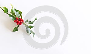 Christmas holly with red berries .Traditional festive decoration. Holly branch with red berries on white table