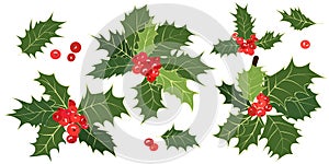 Christmas holly. Set of sprigs, green leaves, red holly berries isolated on white background. Xmas symbol. Vector illustration.