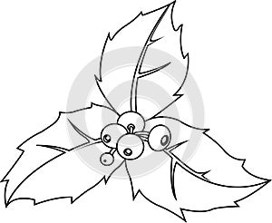 Christmas holly sprig