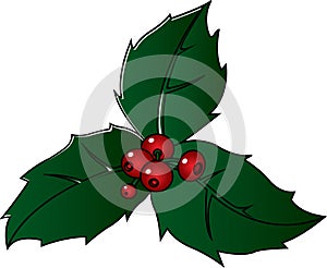 Christmas holly sprig