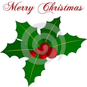 Christmas Holly Sprig