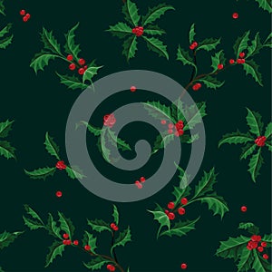 Christmas Holly vector seamless pattern of Christmas plant. Holiday illustration