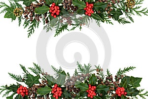 Christmas Holly and Winter Greenery Background Border