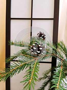 Christmas holydays and pine cone photo