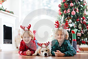 Christmas at home. Kids and dog under Xmas tree