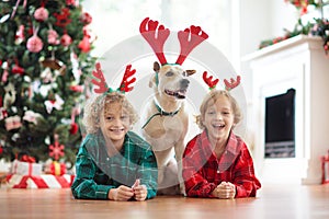 Christmas at home. Kids and dog under Xmas tree