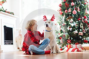 Christmas at home. Kids and dog under Xmas tree