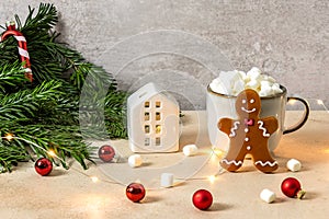 Christmas homemade gingerbread cookie and cup of hot chocolate with marshmallow.