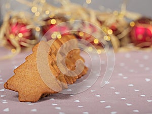 Christmas homemade gingerbread cookies and xmas lights