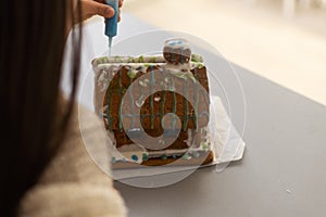 Christmas homemade gingerbread house cookie