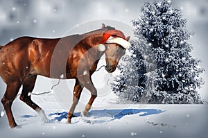 Christmas Horse