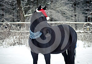 Christmas horse with red cap and bows on tail in winter