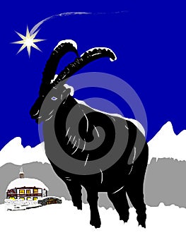 Christmas with ibex in the snow photo