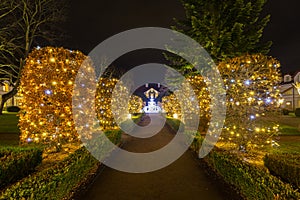 Christmas illumination at city park of Gdansk, Poland