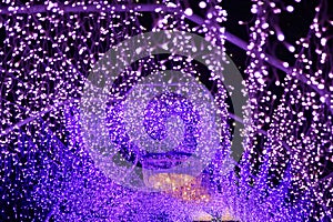 Christmas illumination in Japan