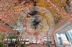 Christmas illumination street Marunouchi Tokyo Japan