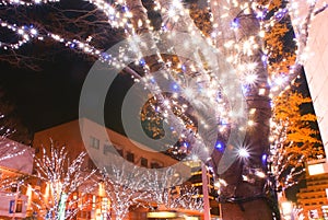 Christmas illuminations and the night view of the image