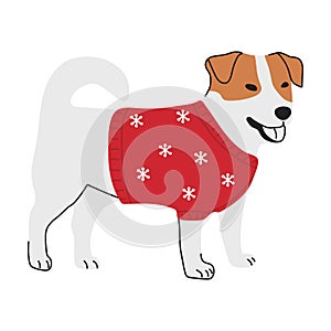 Christmas Jack Russell terrier in hand drawn style. Merry Christmas illustration of cute pet with accessory. Flat vector