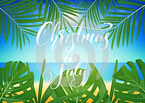 Christmas in July. Tropical background with exotic palm leaves and lettering. Summer Christmas banner