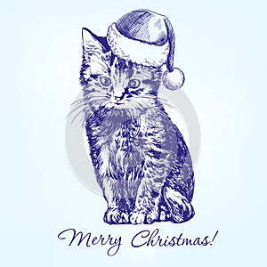 Christmas kitten in Santa stocking hat hand drawn