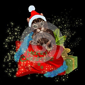 Christmas Kitty with Christmas pillow, presents and stars on a black background. Color digital painting