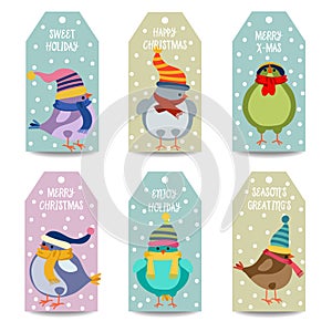 Christmas labels collection with birds