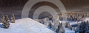 Christmas landscape, snowing winter scene with fir trees, snow falling,