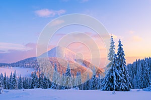 Christmas landscape in the winter mountains at sunset