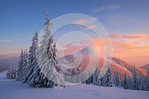 Christmas landscape in the winter mountains at sunset