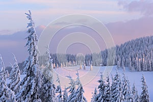 Christmas landscape in the winter mountains at sunset