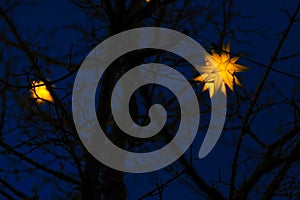 christmas lantern.glowing garlands and lanterns on branches against a blue sky.yellow flashlight garland on a black