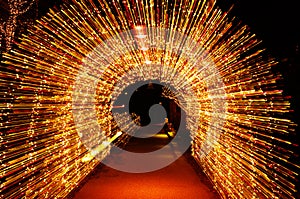 Christmas Light Arch