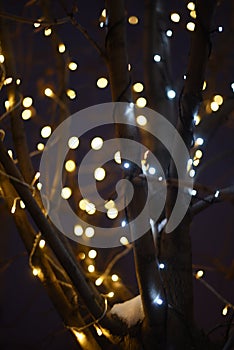 Christmas light background. Decorated trees. Holiday glowing backdrop on the dark blue night sky. Defocused background. blurred